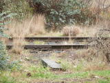One of the first joints at the Goulburn end of the Crookwell line, with a newish sleeper in place, and some missing track bolts.
