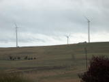 Wind turbines south of Crookwell.