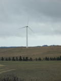 A wind turbines south of Crookwell. Trees at the bottom of the valley provide scale.
