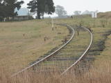 A view across the up end of the Roslyn yard on the Crookwell line. Goods platforms can be seen in the distance, and a half-kilometre post is visible. The remains of crossing timbers for a siding can be seen in the foreground.