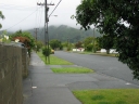 The view from one end of Waikare Avenue. The wet weather hilights the greenery in this shot.