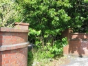 An overgrown, disused gate on Woburn Road.