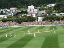 Another successful appeal at the Basin Reserve, Wellington.