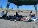 Jann, Haydn, Denise, and Mauricio continue to read. Snaiet looks out at the sun on Peka Peka beach.