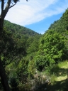 A scenic view next to the car park at Kaitoke. In the lower left corner is a glimpse of water.