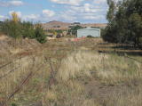 Another look at the southern yard at Michelago. A turntable can just be made out amongst the weeds.