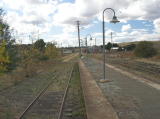 A look north along the northern end of Cooma platform. To the left, a tree can be seen growing amongst the trackwork of the northern docks.