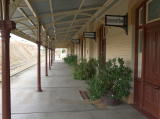 Looking further south down the platform at Cooma station. The plants on the platform are clearly looked after.
