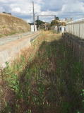 A railway dock at the southern end of the platform. Overgrown, but the track is still in place.