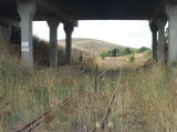 A look north underneath the Monaro Highway overbridge. The points in the foreground are not clearly set for either line.