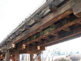 Looking across the length of Guises Creek bridge, some moss is visible on the lower timbers.