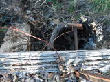 A rotten timber on the western wing wall of Guises Creek bridge.