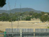 A shot of the Kaleen grasslands, where the Gungahlin Drive extension will be built. Here the focus is in the foreground.