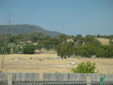 A shot of the Kaleen grasslands, where the Gungahlin Drive extension will be built. Here the focus is on the paddocks.