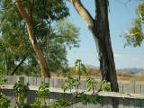 More of the back yard. In the back yard is the current Gungahlin Drive interchange with Bruce Highway. Focus is in the foreground. Zoom lens used.