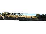 A panorama shot of the Kaleen grasslands, where the Gungahlin Drive extension will be built. This shot is composed of seven images.
