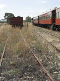 A view of the weeds partially covering the Royalla siding.