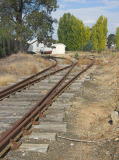 Looking from the end of Dutton street back into the railway yard. The track appears not to have seen any activity for many years,