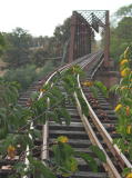 The focus is on the leaves of the trees covering the southern entrance to the Yass railway bridge.